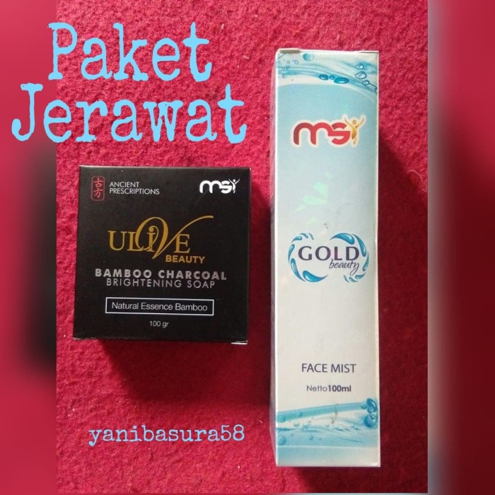 Paket Jerawat MSI (Fast Mist Beauty & Sabun Bamboo Arang)
