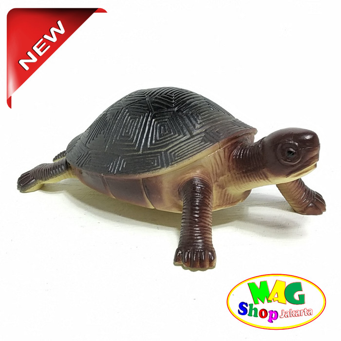 Foto Produk mainan kura-kura dari MAG TOYS