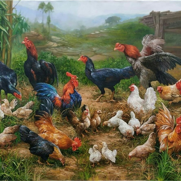 88+ Gambar Ayam Lukisan Terbaik 88+ Gambar Ayam Lukisan Terbaik