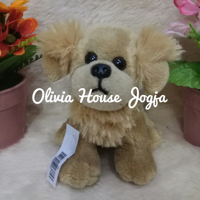 Jual Boneka Anjing Coklat Muda Boneka Anjing Maltese Boneka Anak