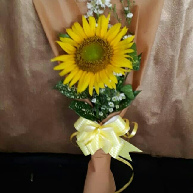 80+ Gambar Bunga Matahari Dari Biji Bijian Paling Cantik 80+ Gambar Bunga Matahari Dari Biji Bijian Paling Cantik