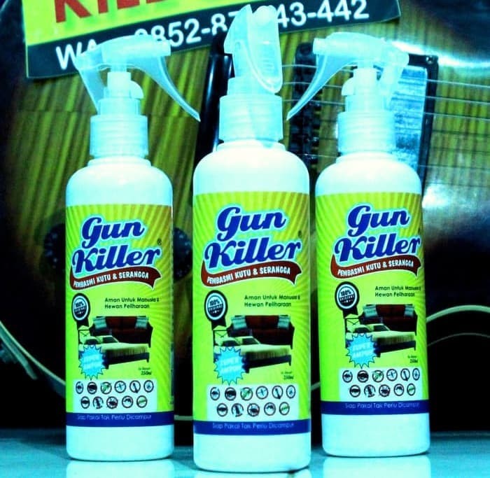 9900 Koleksi Gambar Hewan Tumbila HD