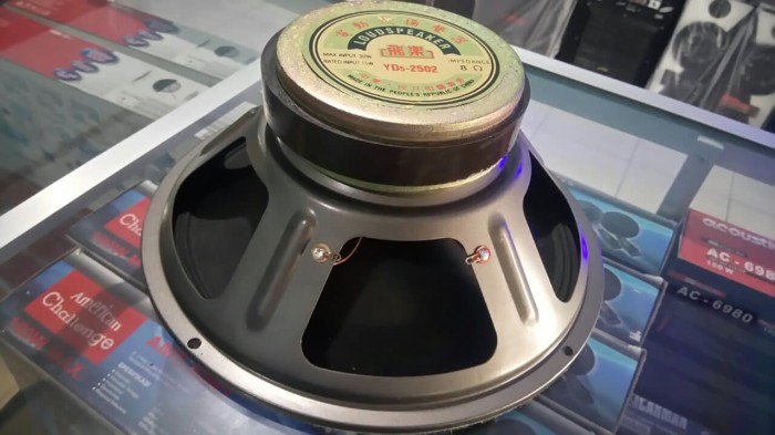 speaker pd 10 inch