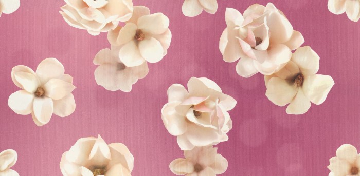700+ Wallpaper Bunga Pink Terbaik 700+ Wallpaper Bunga Pink Terbaik