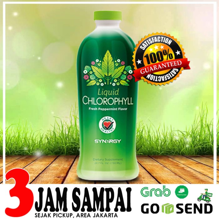 300 Gambar Daun Alfalfa HD Terbaik 300 Gambar Daun Alfalfa HD Terbaik