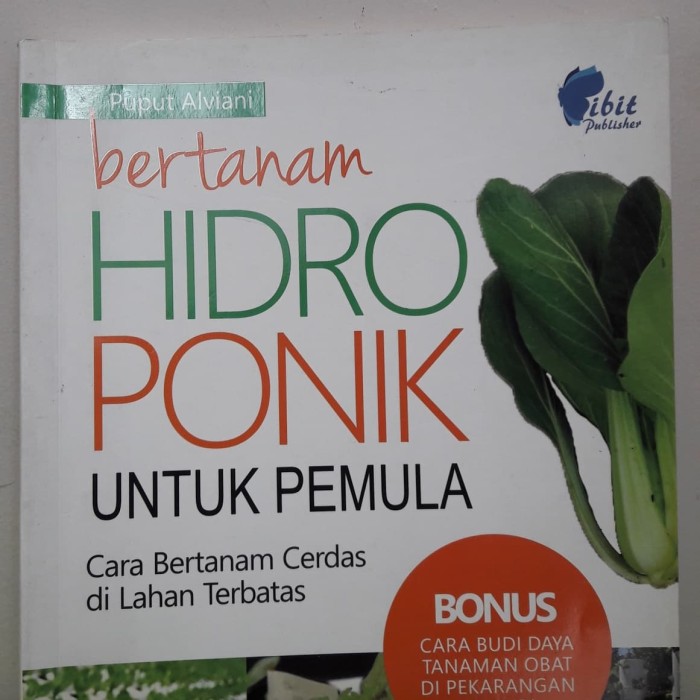 Bertanam Hidroponik Untuk Pemula