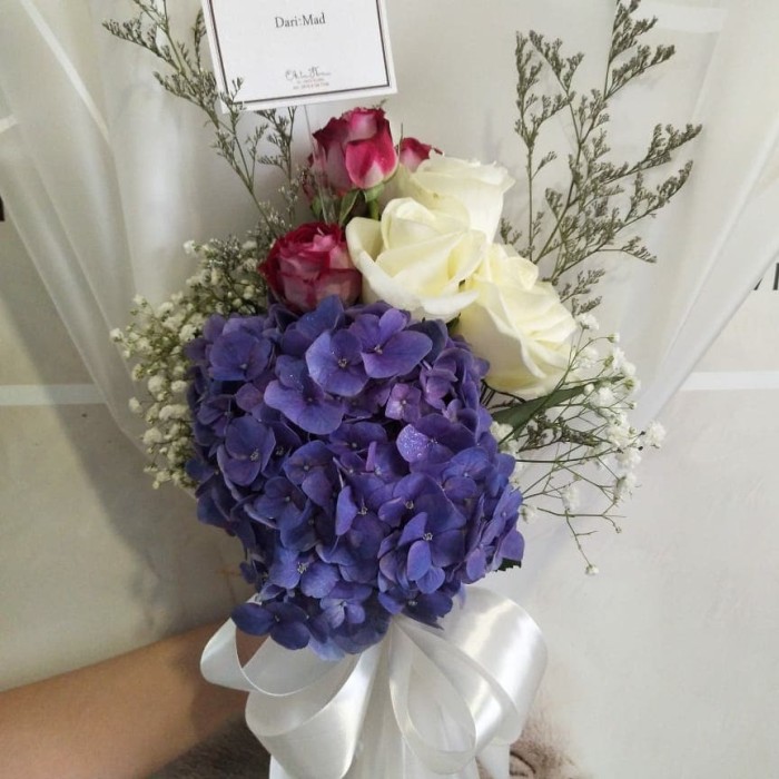 78+ Gambar Bunga Mawar Elegan Kekinian 78+ Gambar Bunga Mawar Elegan Kekinian