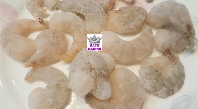75 Gambar Udang Lampu Dan Catur Terlihat Keren 75 Gambar Udang Lampu Dan Catur Terlihat Keren