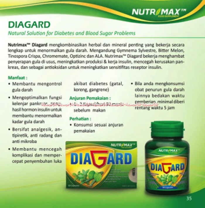 peranan tumbuhan paku sebagai obat diabetes peranan tumbuhan paku sebagai obat diabetes