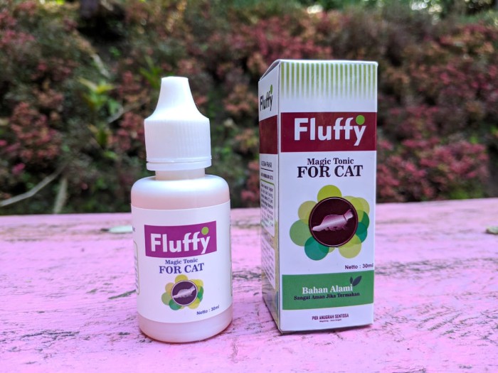 Info Vitamin Kucing Persia Katalog.or.id Info Vitamin Kucing Persia Katalog.or.id