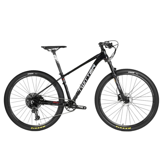 29 inch mountain bike