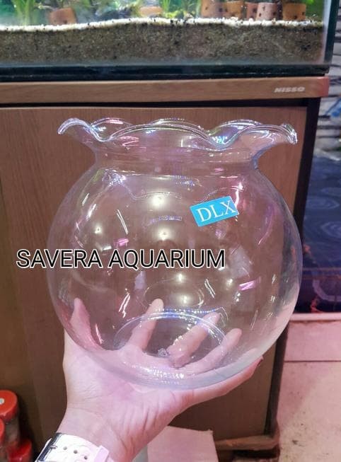 fish bowl shop near me