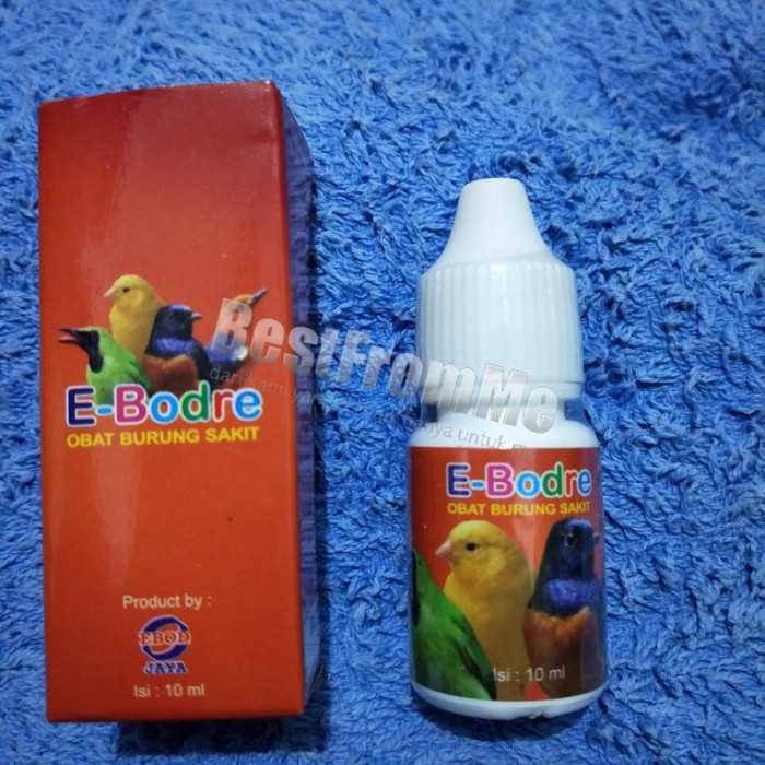 Jual E Bodre Ebodre Obat Penggacor Burung Sakit Nafas Serak