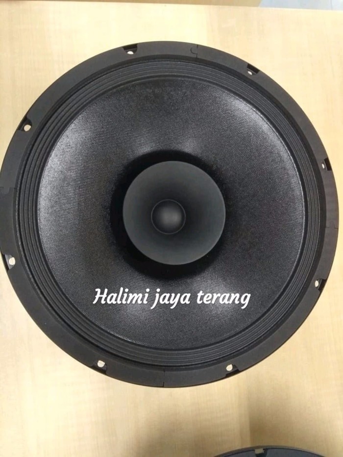 speaker enigma 12 inch