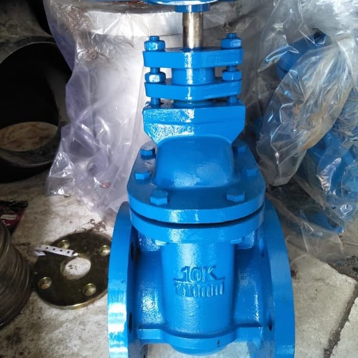  Gate Valve Cast Iron JIS10K 2 1/2 Inch