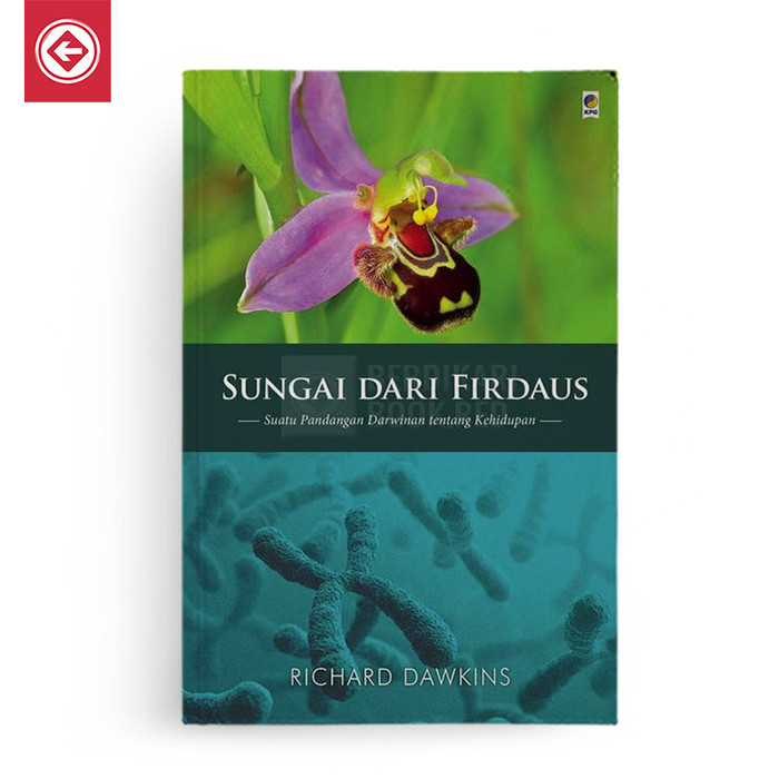 Jual Sungai Dari Firdaus Kota Yogyakarta Buku Berdikari Tokopedia
