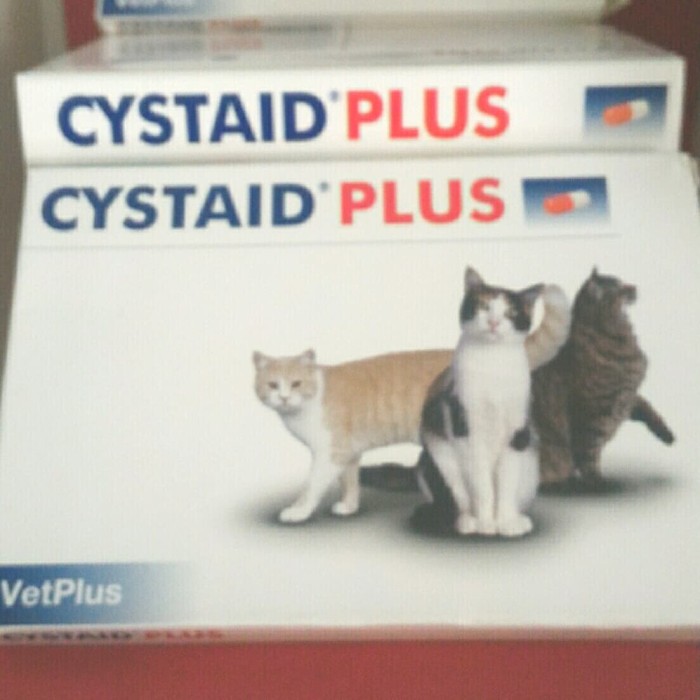 Foto Produk Cystaid plus 1 Strip (30 Kapsul) dari KITTY & ME