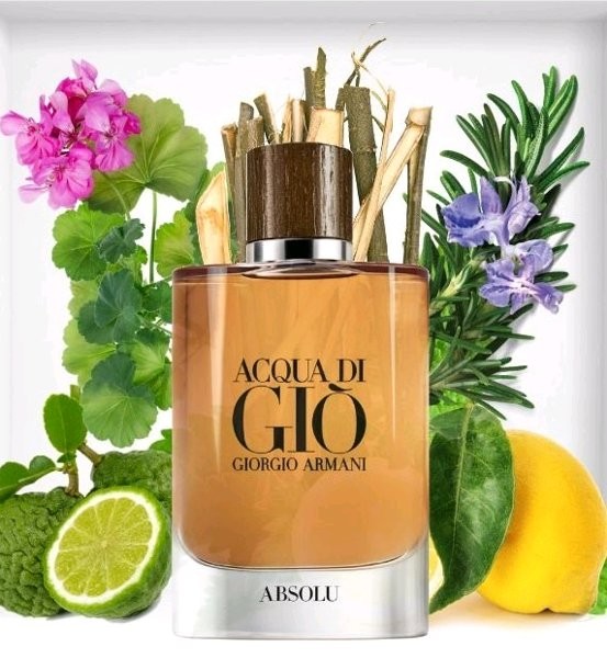 Kết quả hình ảnh cho Giorgio Armani Acqua di Giò Absolu