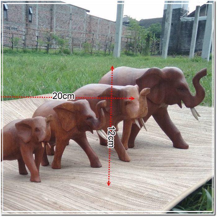 Download 8400 Gambar Gajah Polos  