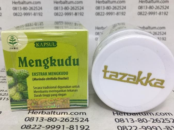 mengkudu untuk obat diabetes herbal
