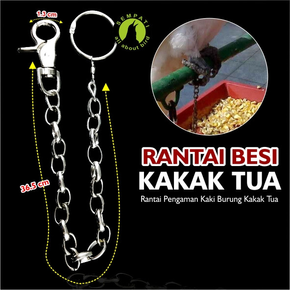 Jual RANTAI BAHAN BESI UNTUK KAKI BURUNG ELANG  KAKATUA 