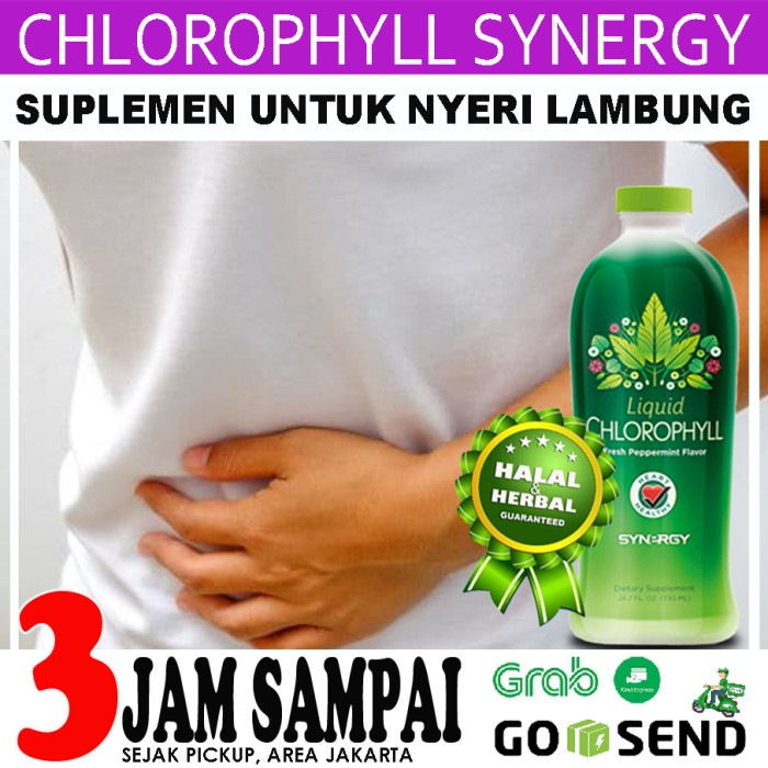 Manfaat Alfalfa Untuk Lambung