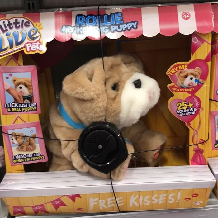 rollie kissing puppy toy