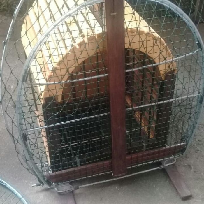 Jual Perangkap Burung Kareo Ruak Ruak Sawah Kandang Kab