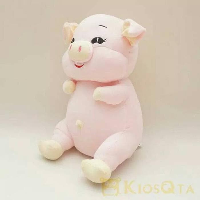 Gambar Babi Hd 80 Gambar Babi Ternak HD Infobaru