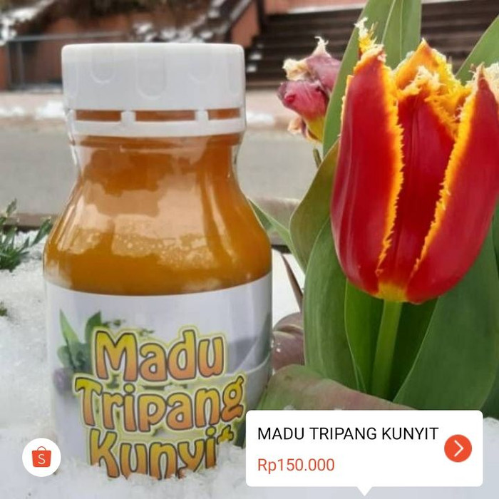 Jual Madu tripang kunyit - Kota Tasikmalaya - KPOPTASIK ...