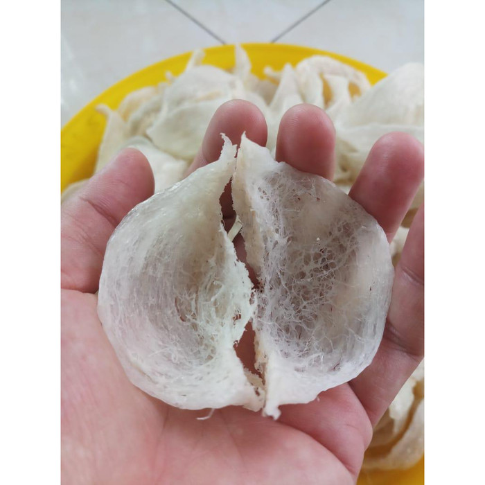 Jual Sarang Burung Walet 25 Gram Bersih Siap Makan Cucian Siap