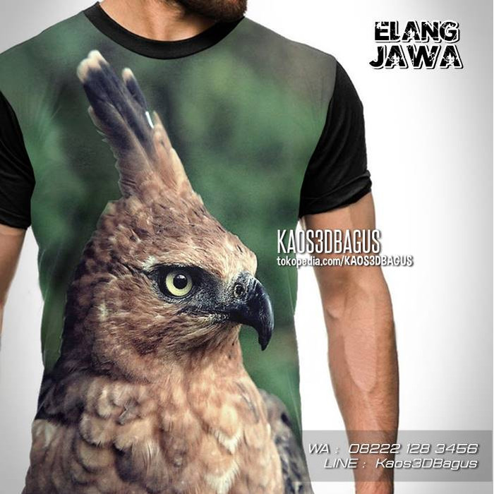 Chord Lagu Elang Jawa