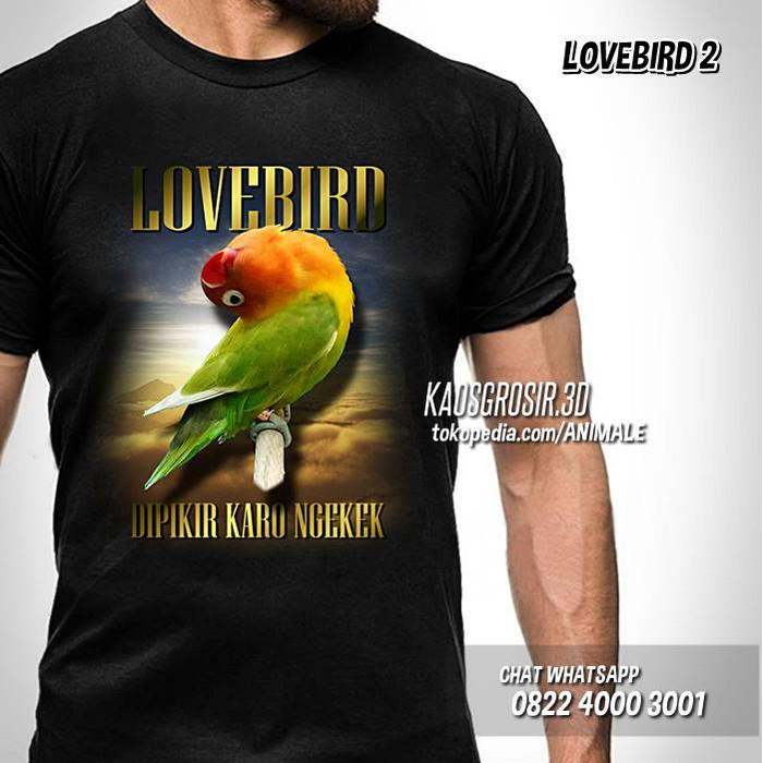 Terkeren 28 Gambar Lucu Tentang Burung  Lovebird  Richa 