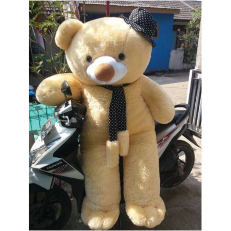 Boneka Beruang Ukuran  Paling  Besar  boneka baru