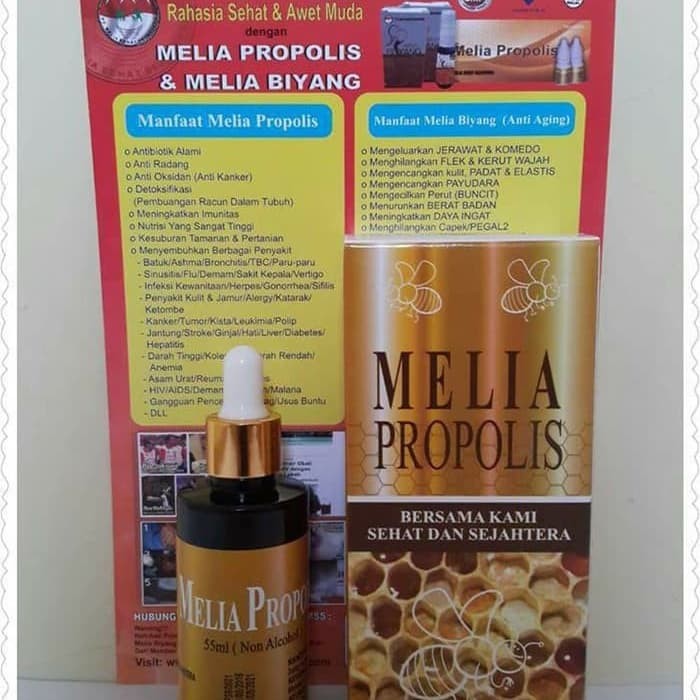 khasiat melia propolis untuk diabetes khasiat melia propolis untuk diabetes