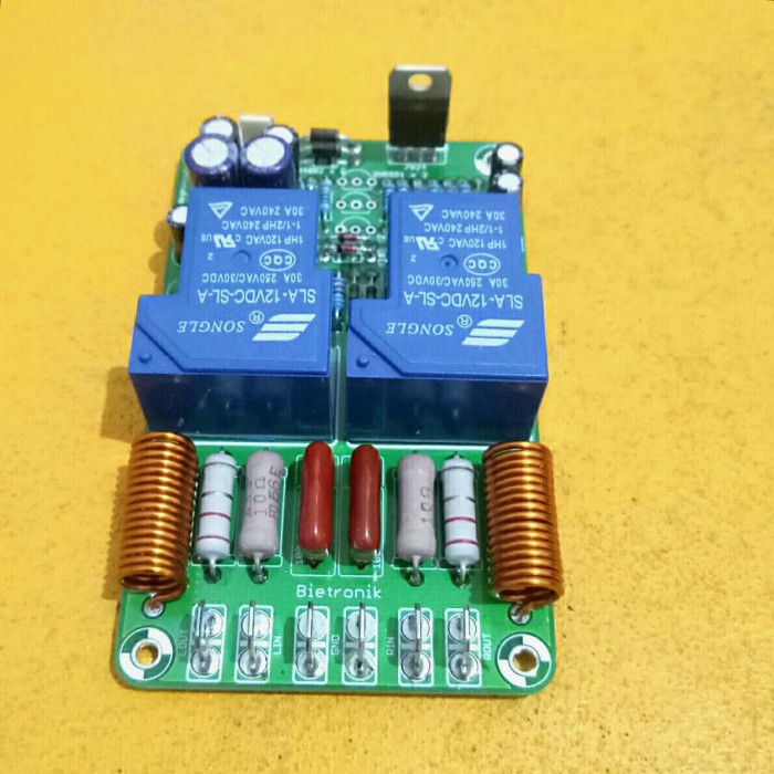 speaker protector stereo