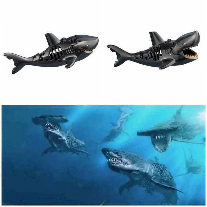 101+ Gambar Ikan Hiu Anak Sd Gratis Terbaru