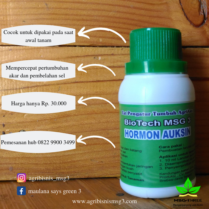 Jual Hormon Auksin Kab Brebes Maulana Says Green Tokopedia