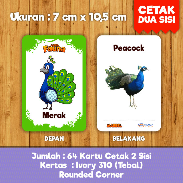 550 Tebak Gambar Burung Merak Sepeda Gratis