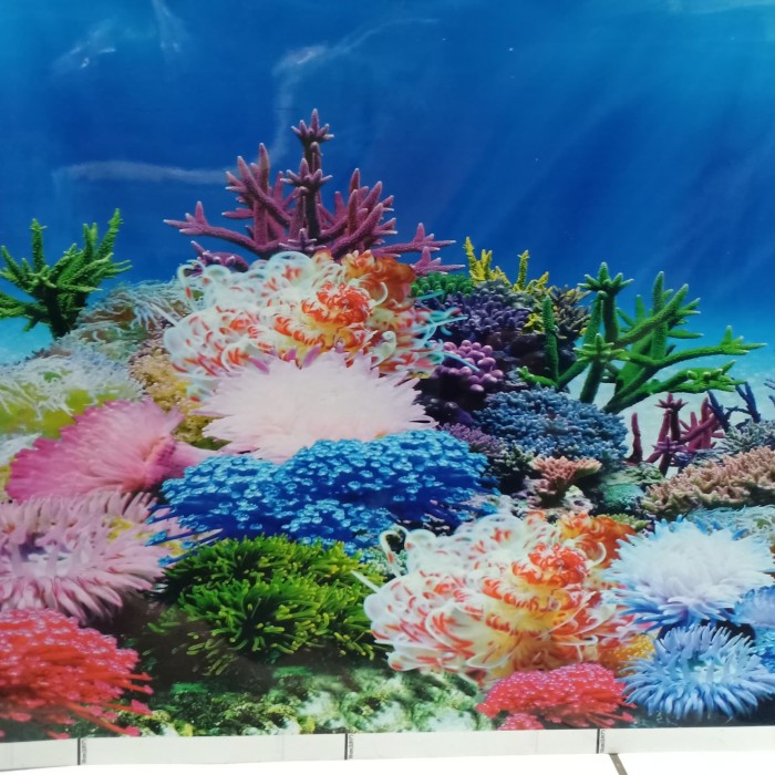 Unduh 9500 Koleksi Background Hitam Tanaman Gratis Terbaru