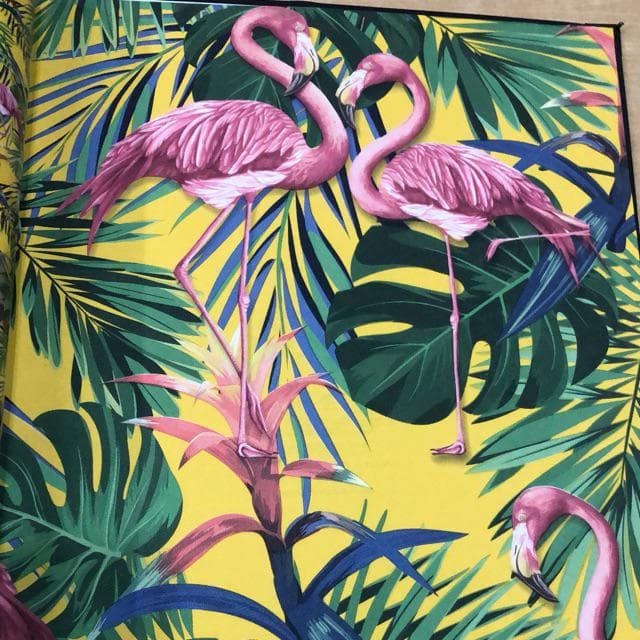 Unduh 200 Wallpaper Dinding Flamingo HD Paling Keren Unduh 200 Wallpaper Dinding Flamingo HD Paling Keren