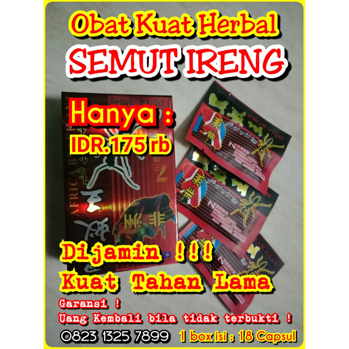 Jual Semut Ireng Black Ant Original Per Pak Isi 15 Pcs Kab