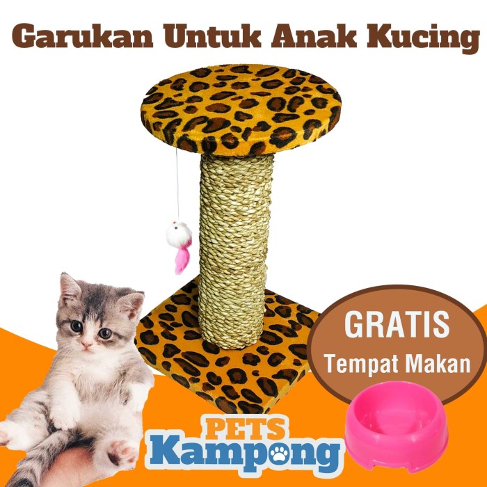 Jual Mainan  hewan Mainan  kucing  Kitten scratch 