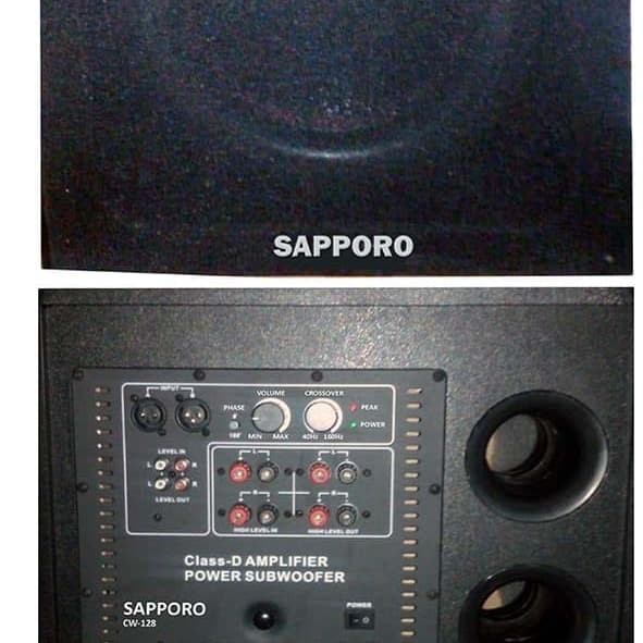 power subwoofer 12 inch