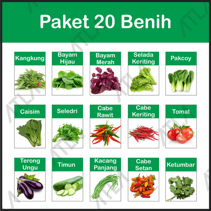 Jual Paket 20 Benih Sayur Kebun Bibit Macam Biji Sayuran Hidroponik