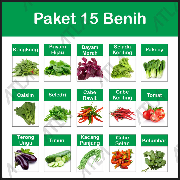 Jual Paket 15 Benih Bibit Biji Tanaman Sayur Daun Berkebun Hidroponik