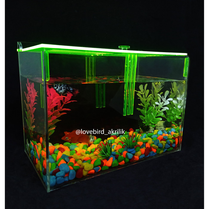 Harga Lampu  Aquarium  Warna Warni LAMPURABI