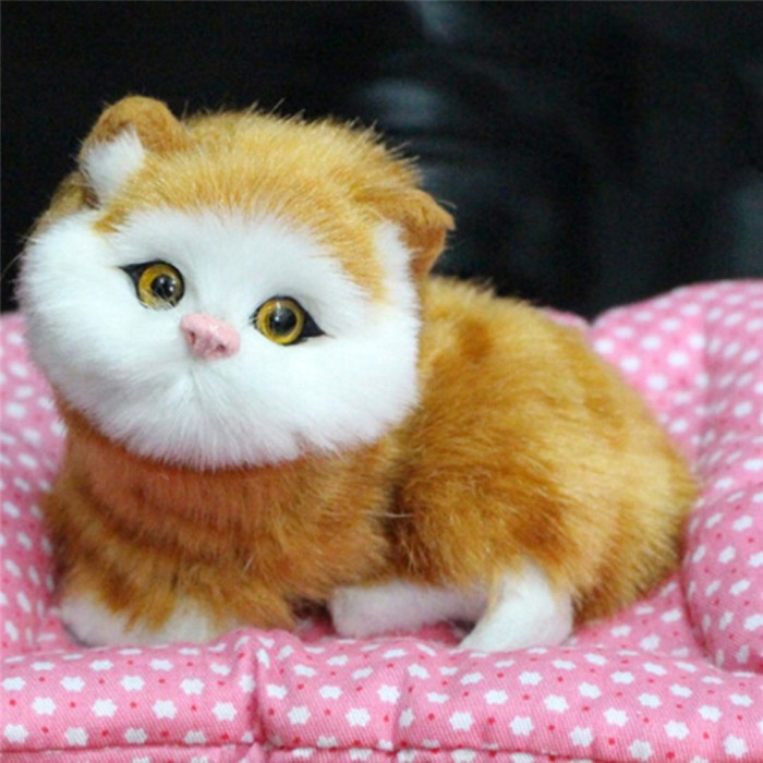 580 Koleksi Gambar Binatang Kucing Lucu HD Terbaru
