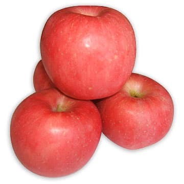 6000 Gambar Buah Apel Fuji HD Paling Baru 6000 Gambar Buah Apel Fuji HD Paling Baru