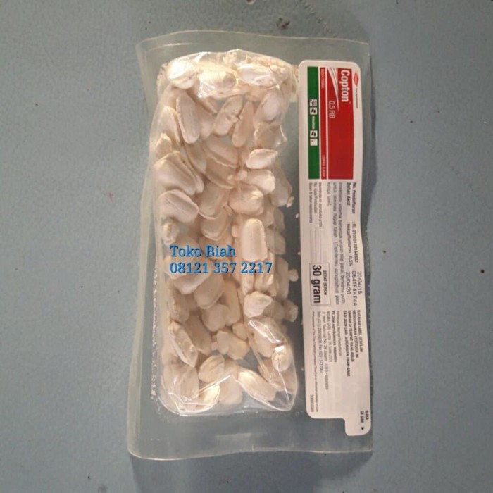 ratu rayap obat diabetes cina